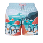 Granadilla - Boulders Beach - Original Shorts