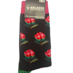 Walkies Republic - Pink Protea Socks - Size 8/12